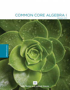 Common Core Algebra I Workbook